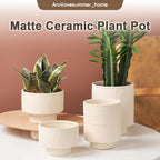【𝗔𝗦𝗛】Nordic Ceramic Plant Pot (Footed)