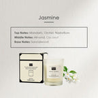 【𝗔𝗦𝗛】Minimalist Scented Candle (50g )