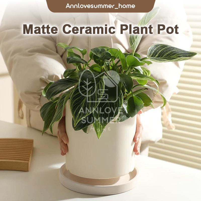 【𝗔𝗦𝗛】Nordic Ceramic Plant Pot (Cylinder)