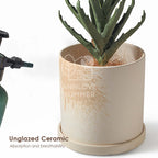 【𝗔𝗦𝗛】Nordic Ceramic Plant Pot (Cylinder)