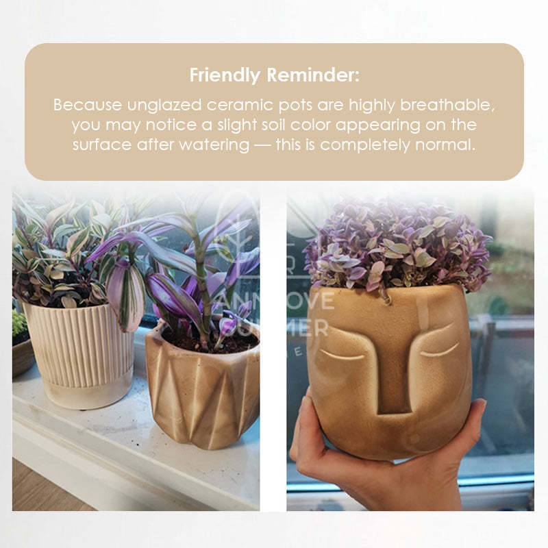 【𝗔𝗦𝗛】Nordic Ceramic Plant Pot (Cylinder)