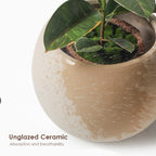 【𝗔𝗦𝗛】Nordic Ceramic Plant Pot (Round)