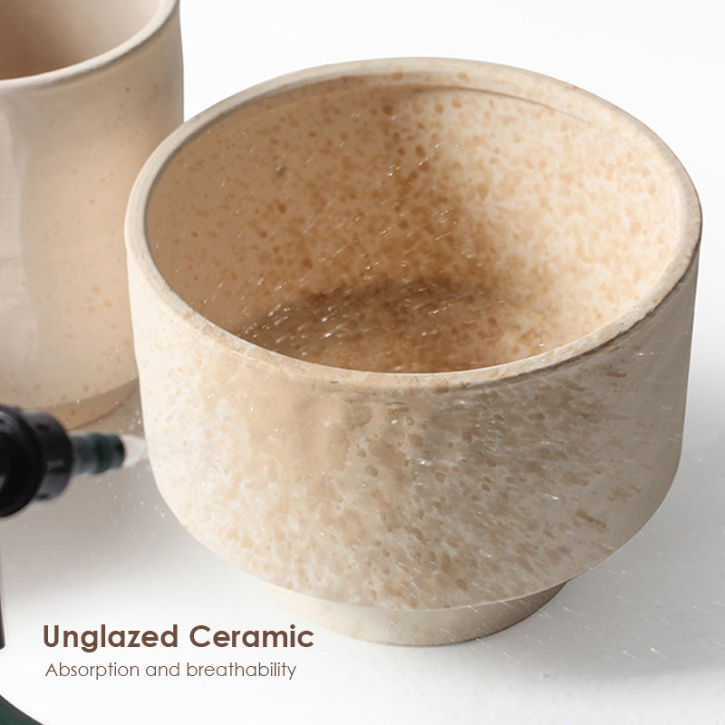 【𝗔𝗦𝗛】Nordic Ceramic Plant Pot (Footed)