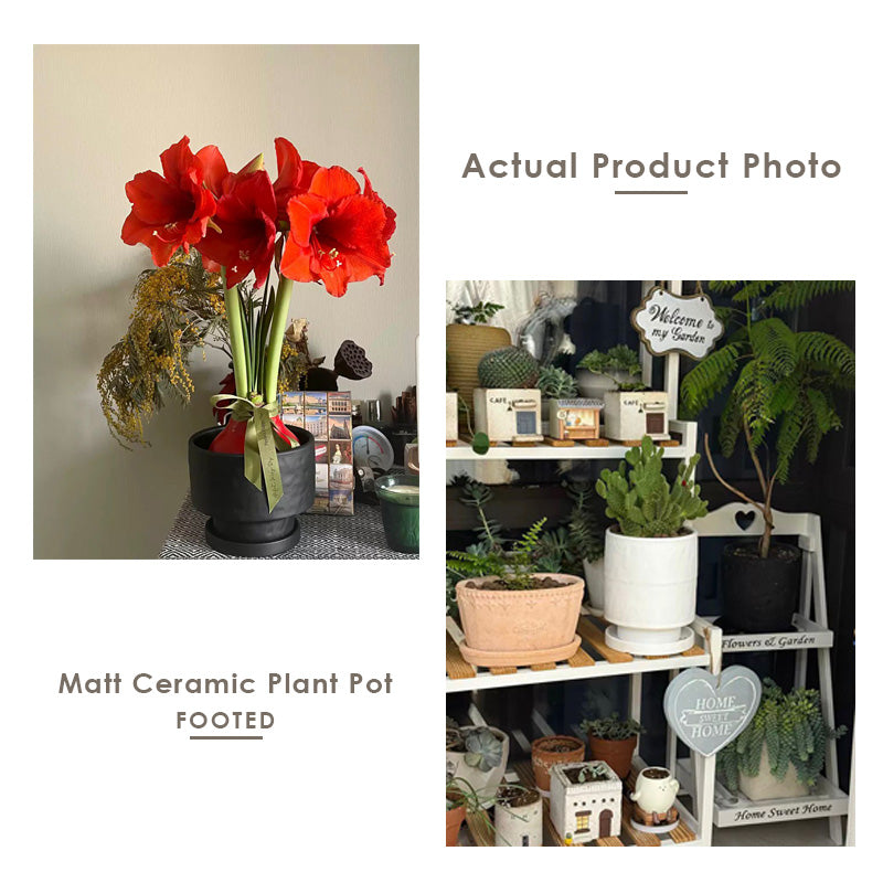 【𝗔𝗦𝗛】Nordic Ceramic Plant Pot (Footed)