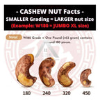 【𝗔𝗦𝗛】PREMIUM VIRAL🔥 KACANG GAJUS GORENG HALAL L SIZE VIETNAM Roasted Cashew Nut Kacang Gajus Panggang W240 越南烤腰豆
