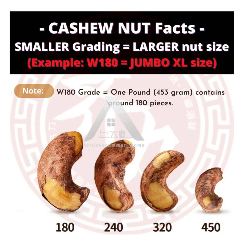 【𝗔𝗦𝗛】PREMIUM VIRAL🔥 KACANG GAJUS GORENG HALAL L SIZE VIETNAM Roasted Cashew Nut Kacang Gajus Panggang W240 越南烤腰豆