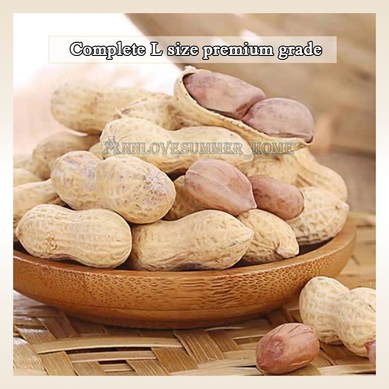 Tangerine Peanuts 红丰亮陈皮味花生 (350g)
