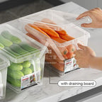 【𝗔𝗦𝗛】Plastics Fridge Storage with Handle