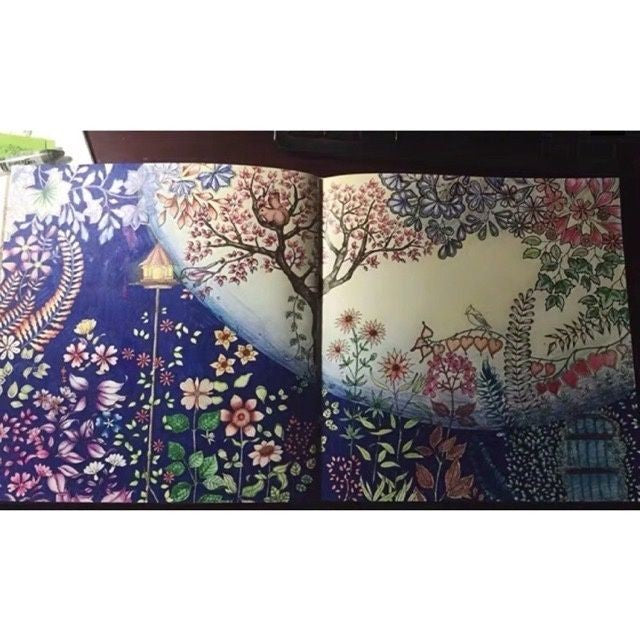 【𝗔𝗦𝗛】Only RM9.9❗️96 pages Secret Garden Series Coloring Book Thick Colouring Book Stress Relieve BookBukuWarna秘密花园填色本