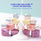 【𝗔𝗦𝗛】🔥Lowest Price Promo 50g| 100g❗️Large Cube Freeze Dried Yoghurt Yogurt Cube Mixed 3Fruits Kering SnacksKids冻干酸奶块健康零食