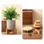 Wooden Bonsai Display Stand
