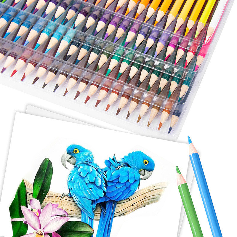 【𝗔𝗦𝗛】48pcs Oil Based Colour Pencils Set for Adult Coloring Books Artist Drawing Sketching Crafting for Beginners/Artist