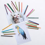 【𝗔𝗦𝗛】48pcs Oil Based Colour Pencils Set for Adult Coloring Books Artist Drawing Sketching Crafting for Beginners/Artist